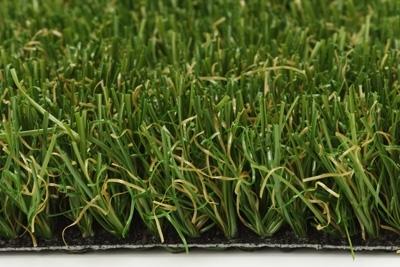 CARPET BICOLOR