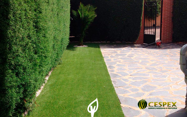 Verde y confortable sin agua