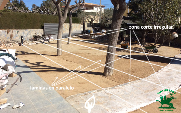 Planificación del terreno jardín césped