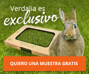 QUIERO UNA MUESTRA GRATIS QUIERO UNA MUESTRA GRATIS