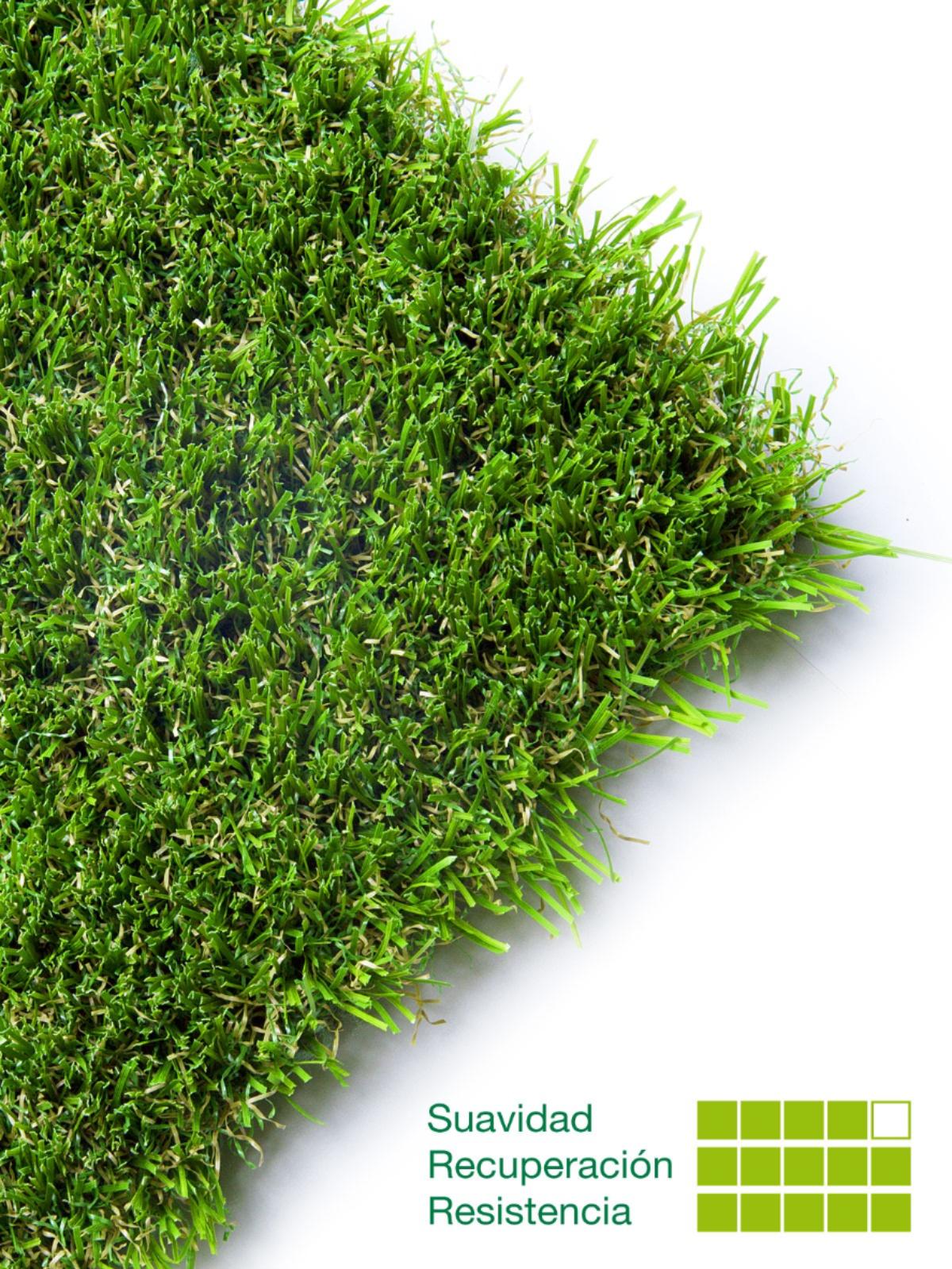 Bermuda Grass 35